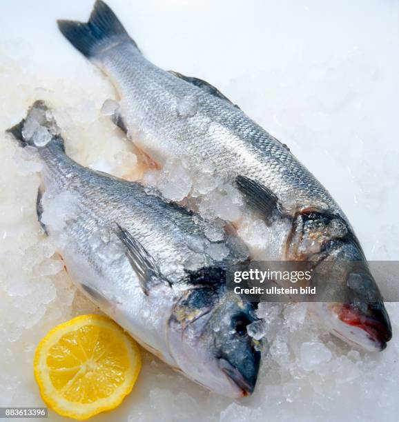 Wheat Fish Weakfish Photos and Premium High Res Pictures - Getty Images