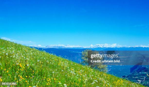 South Tyrol; Alto Adige; landscape; Burgraviato;Merano, Lana, Monte San Vigilio, Sasso Lungo, Sasso Piatto, cima Santner, catinaccio. Latemar, Val...