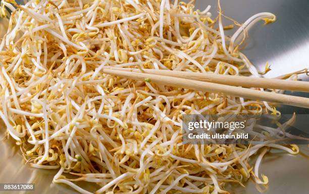 Food, Soybean, bean sprouts, soy