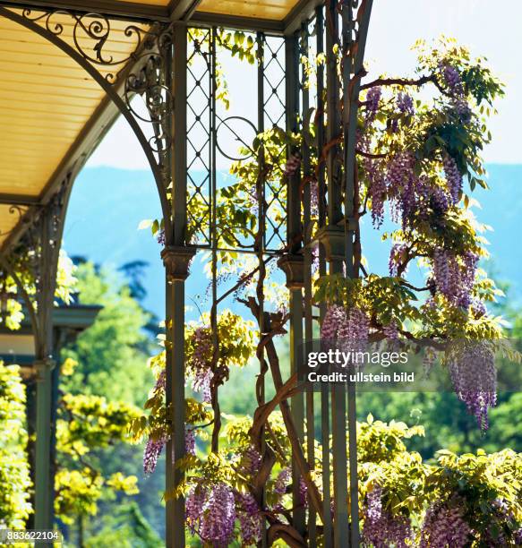 South Tyrol; Alto Adige; landscape; Burgraviato; Merano; passeggiata lungo passirio; esplanade