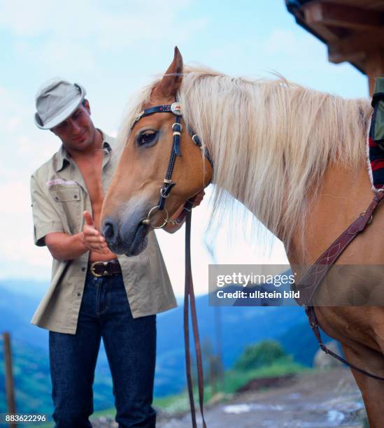 People; People; young mann, leisure, pastime, hobby, riding, horse, rider