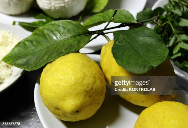 First plate of lemons, by chef Luigi Sorrentino in Osteria la Torre in Vico Equense.