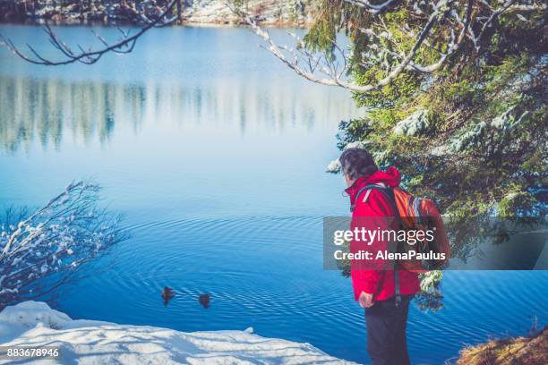 2,980 Mountain Duck Stock Photos, High-Res Pictures, and Images - Getty  Images