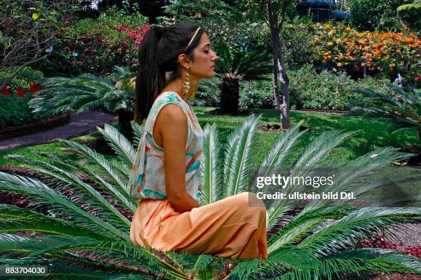 Japanische Palmfarne, Cycas revoluta, Garten der Quinta Vigia, einheimische junge Frau bei Yogaübungen, Funchal, Madeira, Portugal