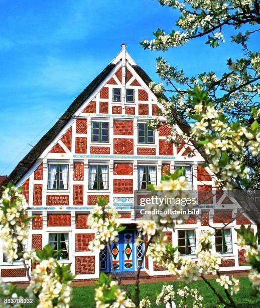 Kirschblüte Fachwerkhaus im Alten Land - gesehen 2014