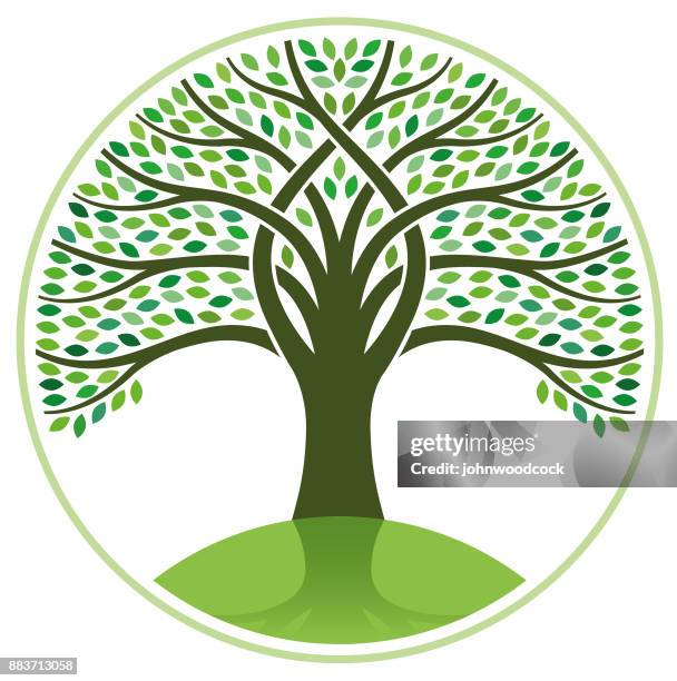 Large Tree Vector Graphics Big Tree Logo