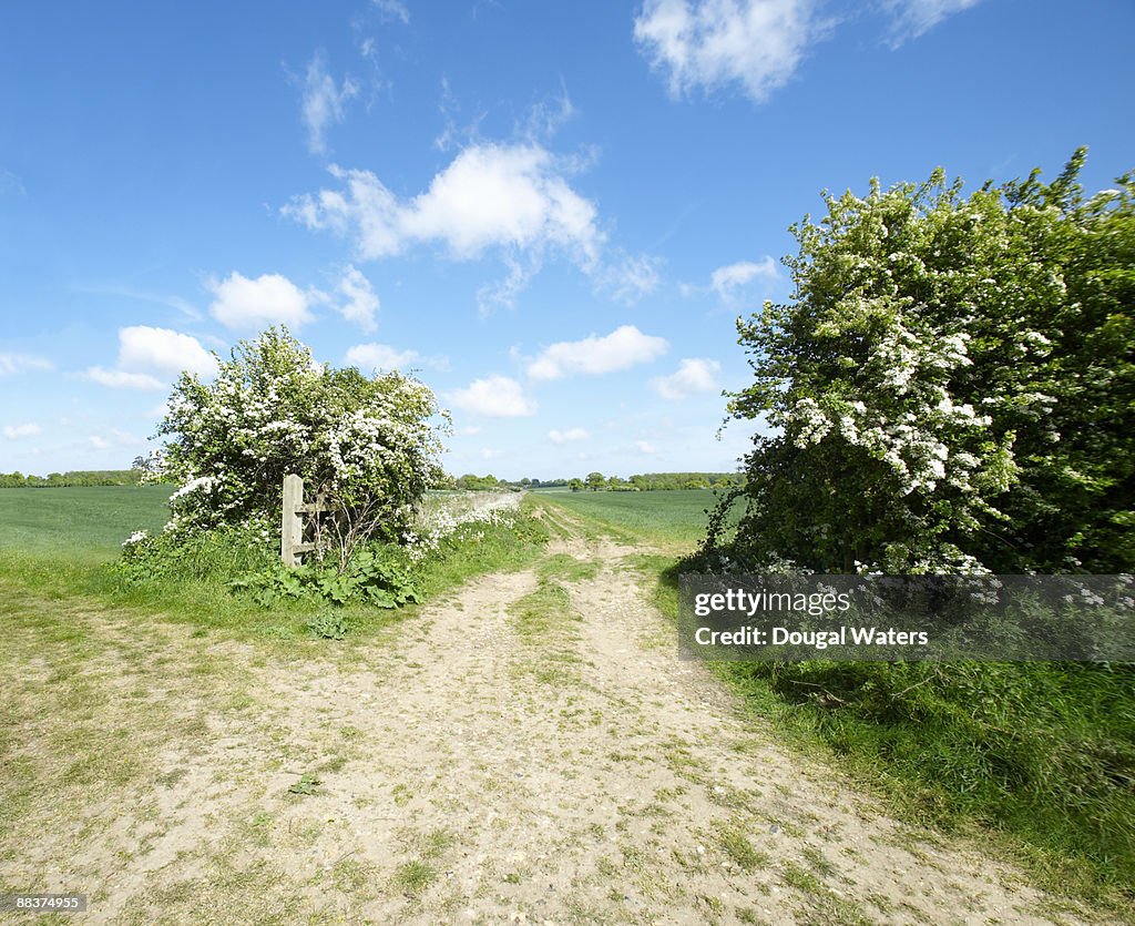 Fielding Countryside Tracks Leading Into Countryside Fields High-Res Stock Photo - Getty Images