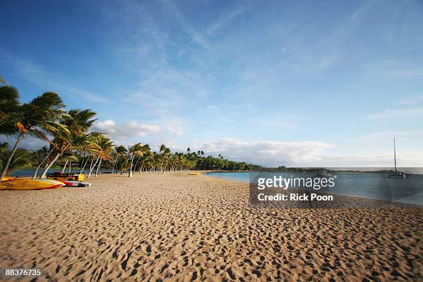 beach at anaeho'omalu bay - anaehoomalu bay stockfoto's en -beelden