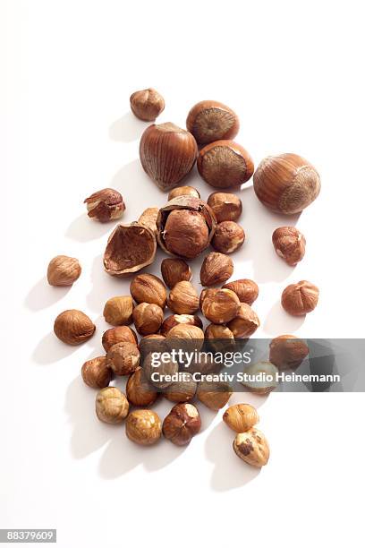 hazelnuts - haselnuss stock-fotos und bilder