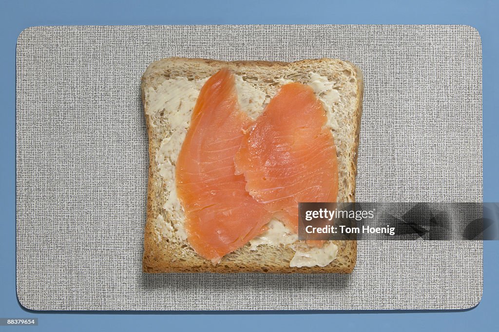 Slice of bread with salmon, elevated view