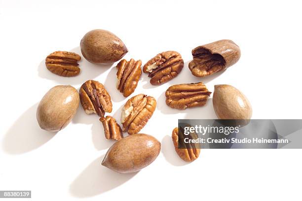 pecan nuts, close-up - pekannuss stock-fotos und bilder