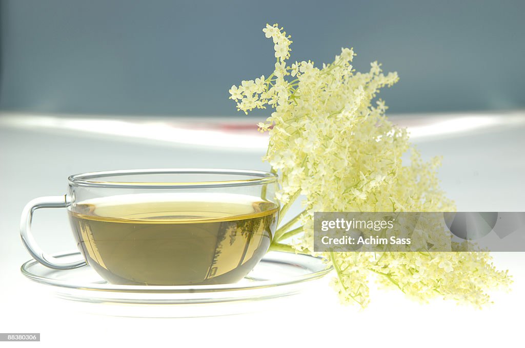 Elderflower tea, close-up