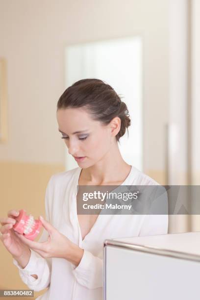 young dentist standing at the front desk of a dentist's office, looking curiously at a jaw model. - human jaw bone stock-fotos und bilder