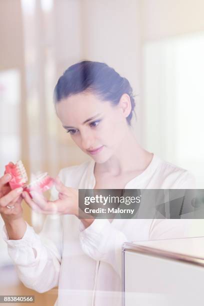 young dentist standing at the front desk of a dentist's office, looking curiously at a jaw model. - human jaw bone stock-fotos und bilder