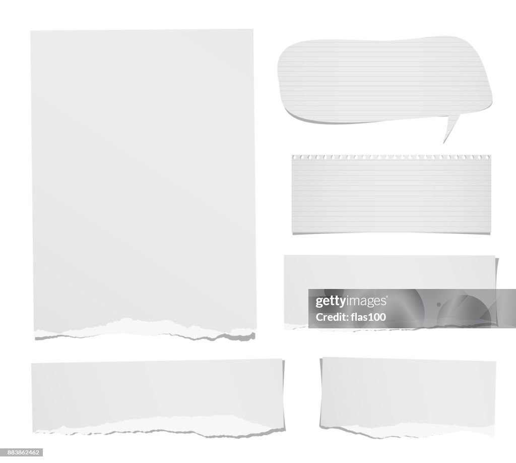 Paper Strips Ripped Notebook Torn Notebook Paper Strip