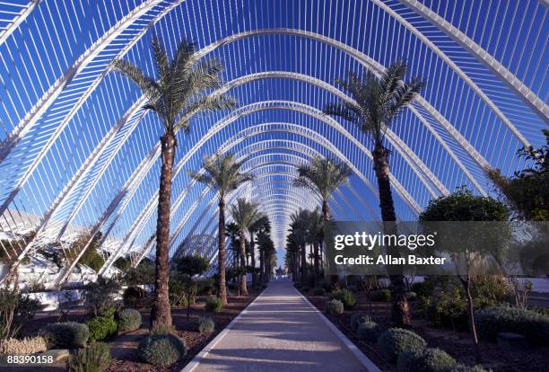 umbracle and palm trees - santiago calatrava 個照片及圖片檔