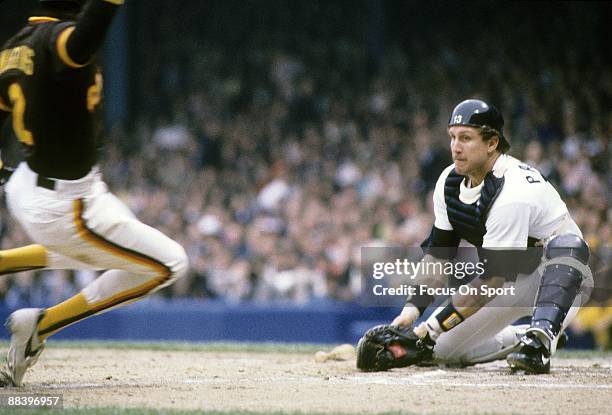 Alan Wiggins Math 1980 Tiger Photos and Premium High Res Pictures - Getty Images