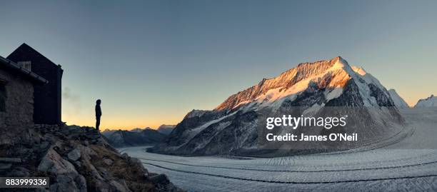 hiker looking at glacier at sunrise, aletsch glacier, switzerland - kanton wallis stock-fotos und bilder