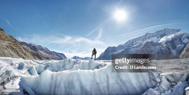 hiker on a glacier looking out at view, aletsch glacier, switzerland - gletsjer stockfoto's en -beelden