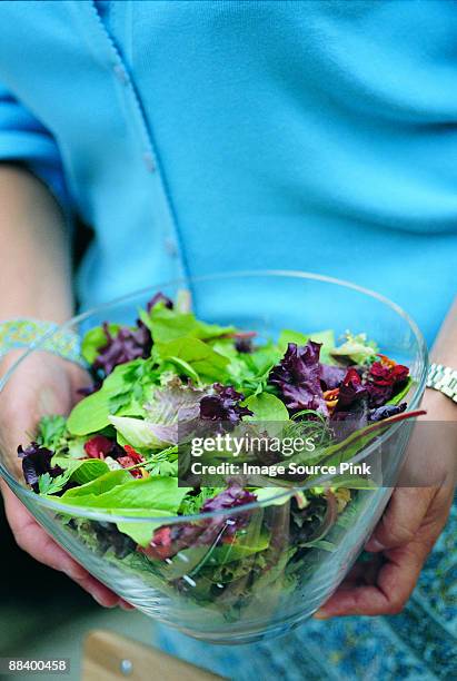 bowl of salad - mangiare fotografías e imágenes de stock