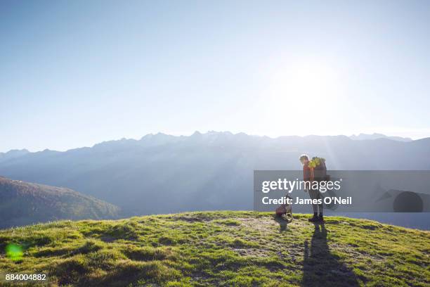 hiker and rescue dog on grassy hill, switzerland - rettungshund stock-fotos und bilder