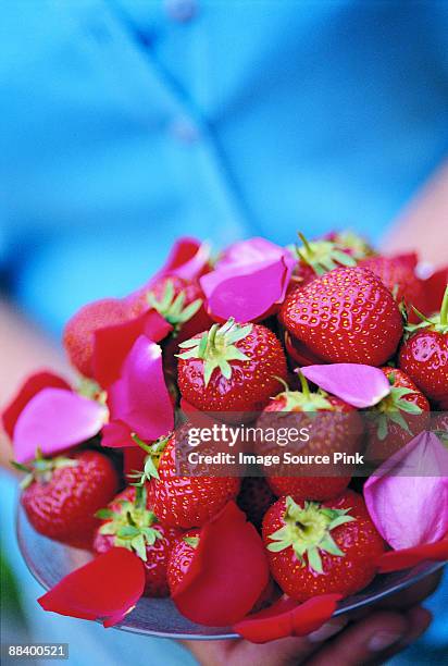 strawberries - mangiare stockfoto's en -beelden