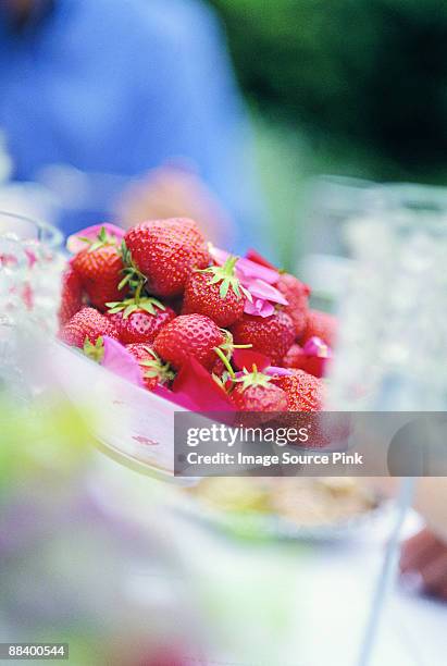 strawberries - mangiare stock pictures, royalty-free photos & images