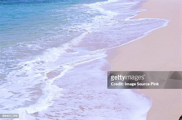 sea - ebb tide stock pictures, royalty-free photos & images