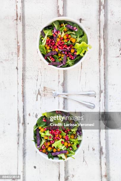 salad bowl - larissa veronesi stockfoto's en -beelden