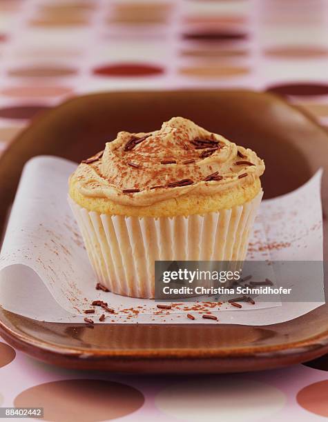 mocha cupcake - christina plate bildbanksfoton och bilder