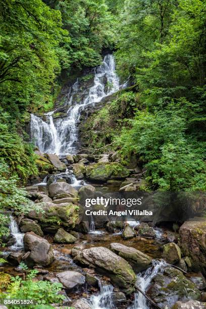 torc waterfall - torc waterfall stock pictures, royalty-free photos & images