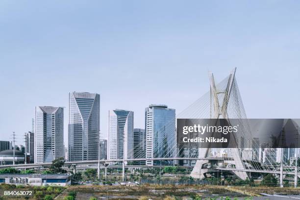 berömda kabel bott bridge på sao paulo city - snedkabelbro bildbanksfoton och bilder