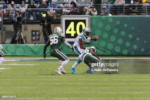 Wide Receiver Devin Funchess of the Carolina Panthers in action against the New York Jets during their game at MetLife Stadium on November 26, 2017...