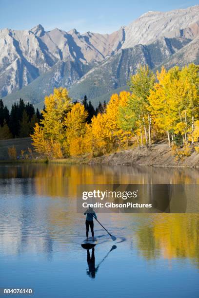 stand up paddleboard adventure - aspen tree silhouettes stock pictures, royalty-free photos & images