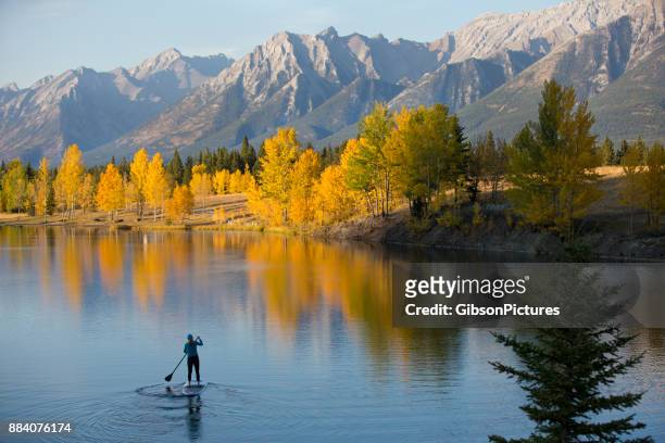 autumn stand up paddleboard adventure - canmore alberta stock pictures, royalty-free photos & images