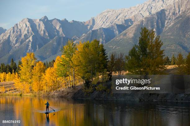 stand up paddleboard adventure - aspen tree silhouettes stock pictures, royalty-free photos & images