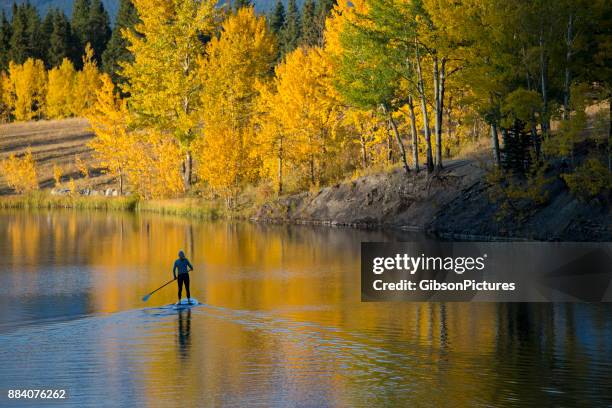 stand up paddleboard adventure - aspen tree silhouettes stock pictures, royalty-free photos & images