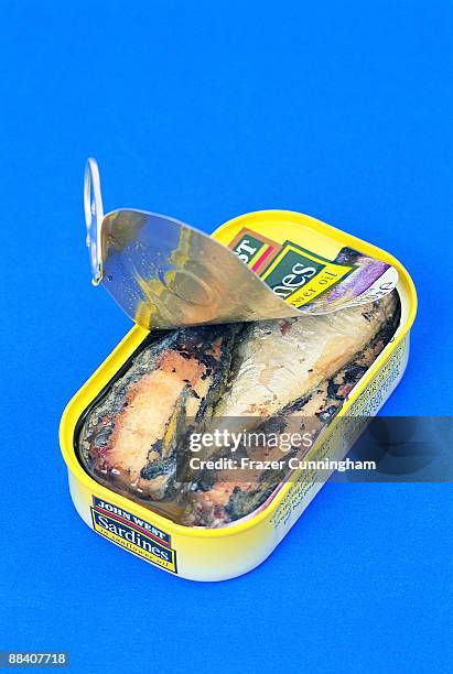 tin of sardines - sardine can foto e immagini stock