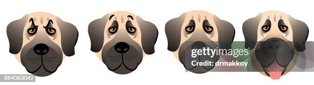 kangal (sivas) - large dog stock illustrations