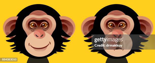 chimpanzee - forest south africa stock illustrations