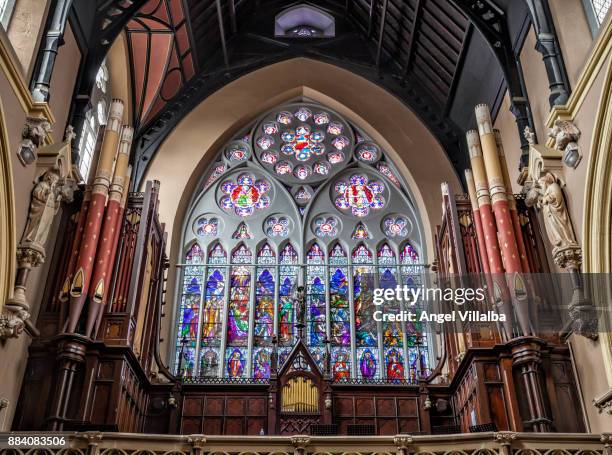 cork. saints peter and paul's church - cork stockfoto's en -beelden