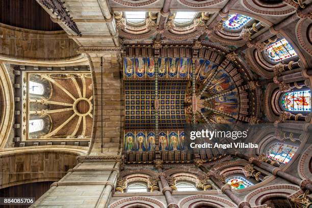 cork, saint fin barre's cathedral - cork material bildbanksfoton och bilder