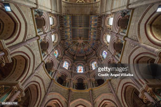 cork, saint fin barre's cathedral - cork stockfoto's en -beelden