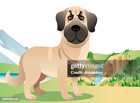 Kangal Kangal