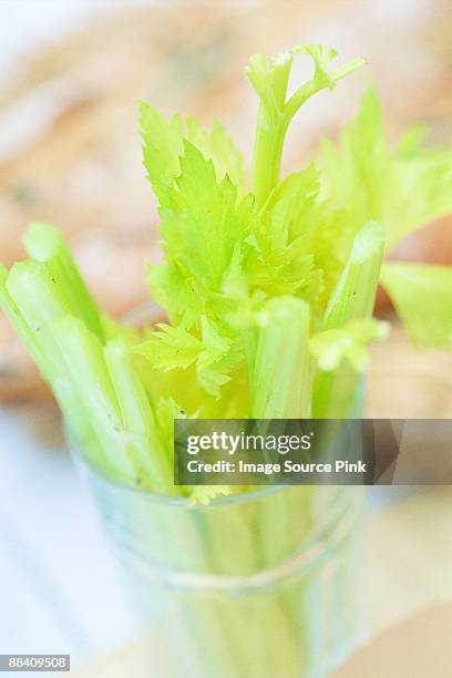 celery stalks - mangiare fotografías e imágenes de stock