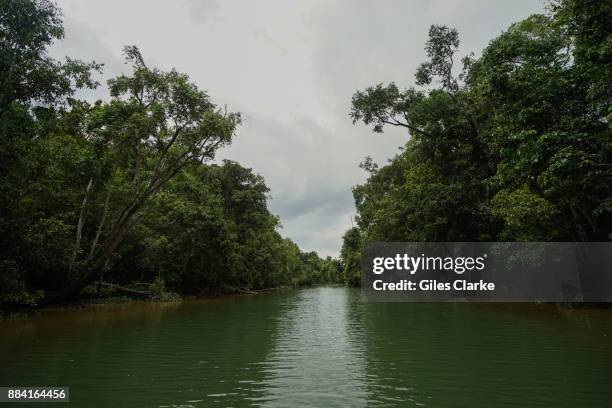 The Kinabatangan River flows through a wildlife reserve on September 6, 2015. The protected area is complex in its location and management as it is...