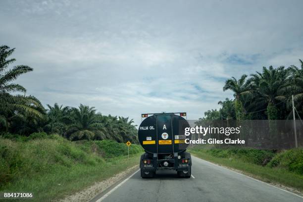 Palm oil plantation and factory encroaches on a wildlife reserve on September 7, 2015. The protected area is complex in its location and management...