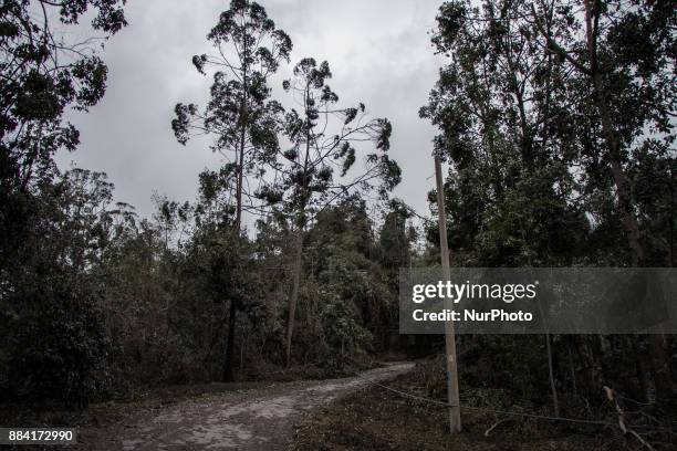 Red zone area covered with thick volcanic dust at Pura Pasar Agung on December 2, 2017 in Karangasem regency, Bali, Indonesia. After the eruption of...