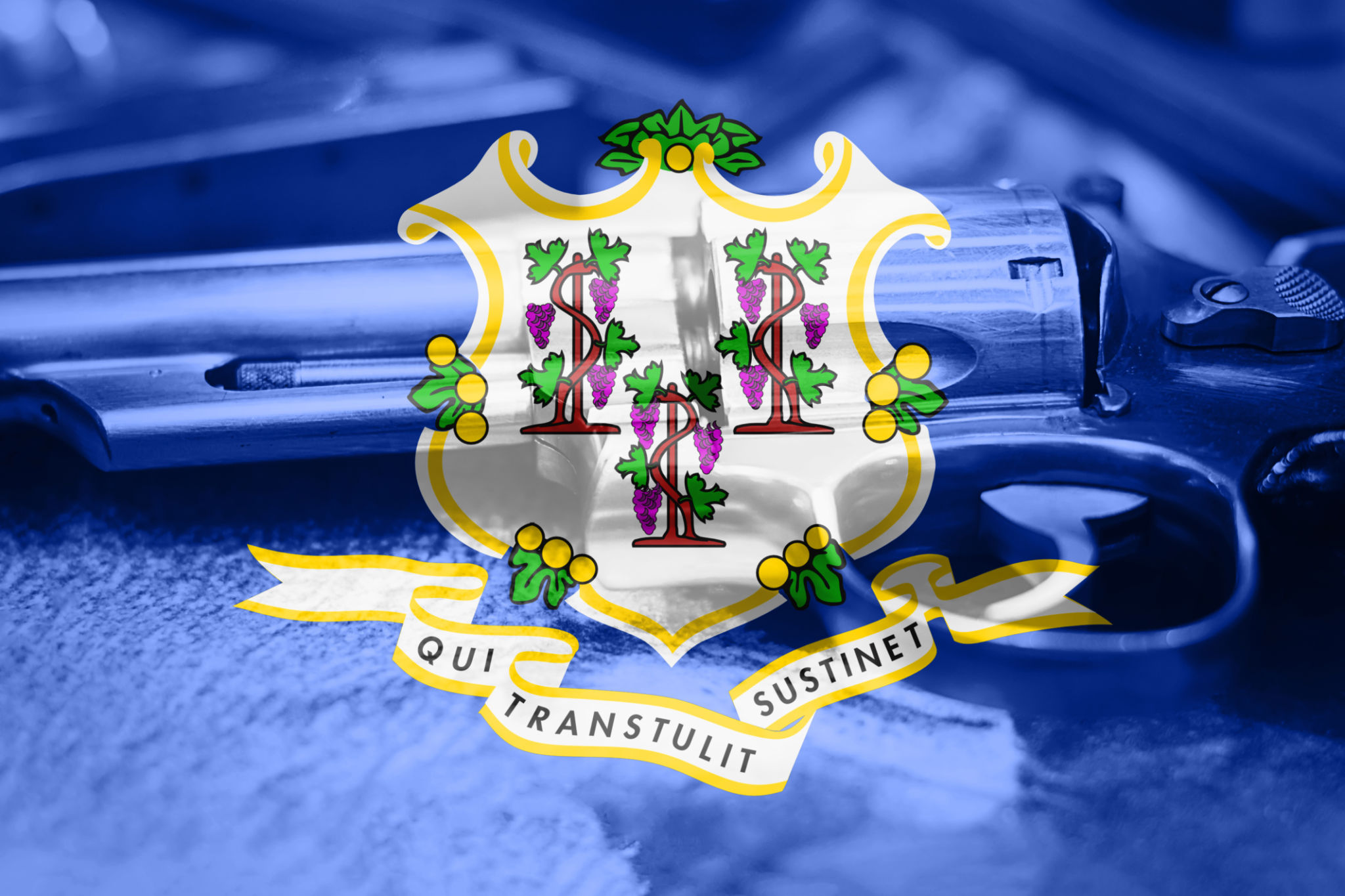 connecticut firearm laws