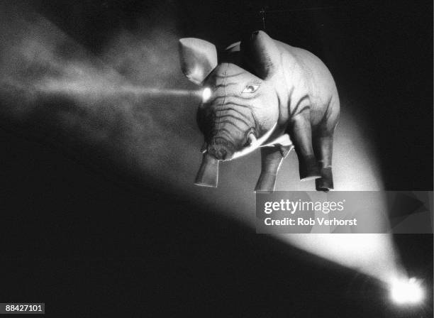 13th MAY: An inflatable pig rises above the stage during Pink Floyd's concert at Werchter in Belgium on 13th May 1989.